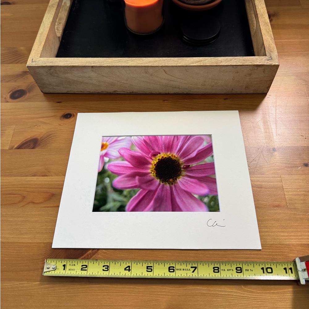 New Original Signed Photography - Picture 4 of 4